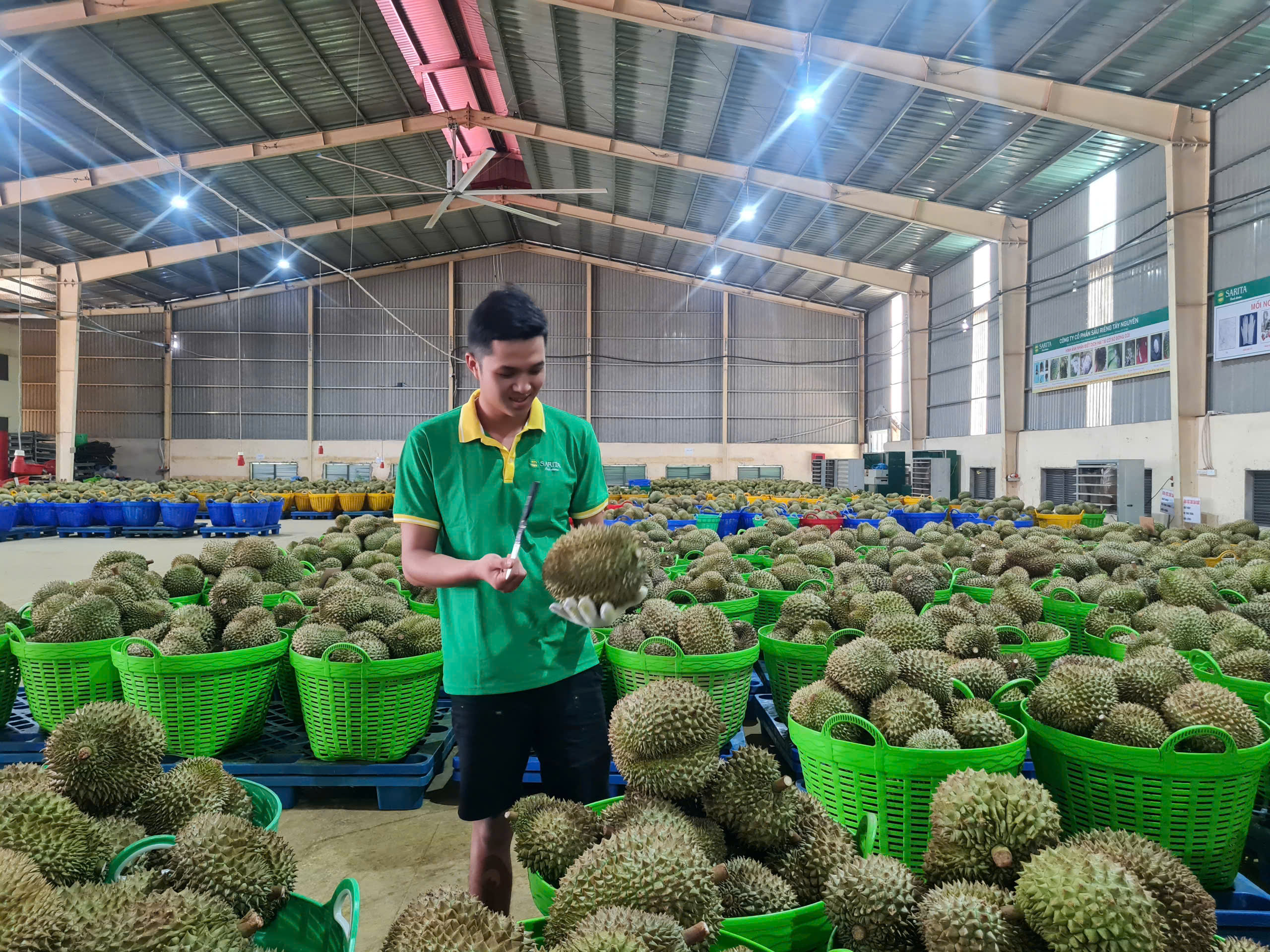 Hiện thực hóa mục tiêu xuất khẩu nông sản 100 tỷ USD: "Tiền tươi thóc thật" vào túi nông dân (Bài 1) - Ảnh 6.