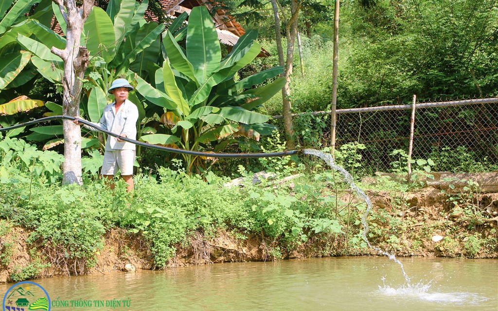 Cá lăng đuôi đỏ ví như thủy quái khổng lồ sông Sêrêpốk qua Đắk Lắk, nuôi thành công, dân phục lăn - Ảnh 9.