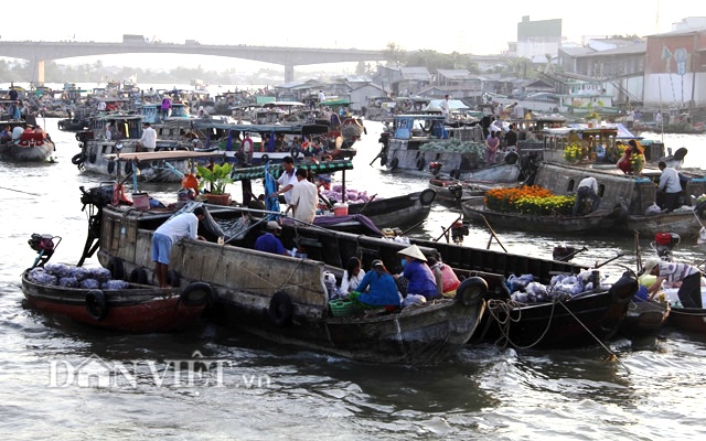 Chợ hoa Xuân tại chợ nổi Cái Răng (Cần Thơ): Miễn phí mặt bằng, điện, nước cho người dân bán hoa kiểng Tết - Ảnh 1.