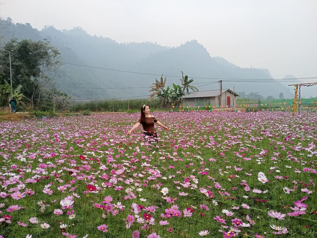 Nữ chi hội trưởng nông dân ở Yên Bái tận dụng đất ruộng trồng vườn hoa đẹp ai thấy cũng mê- Ảnh 5.