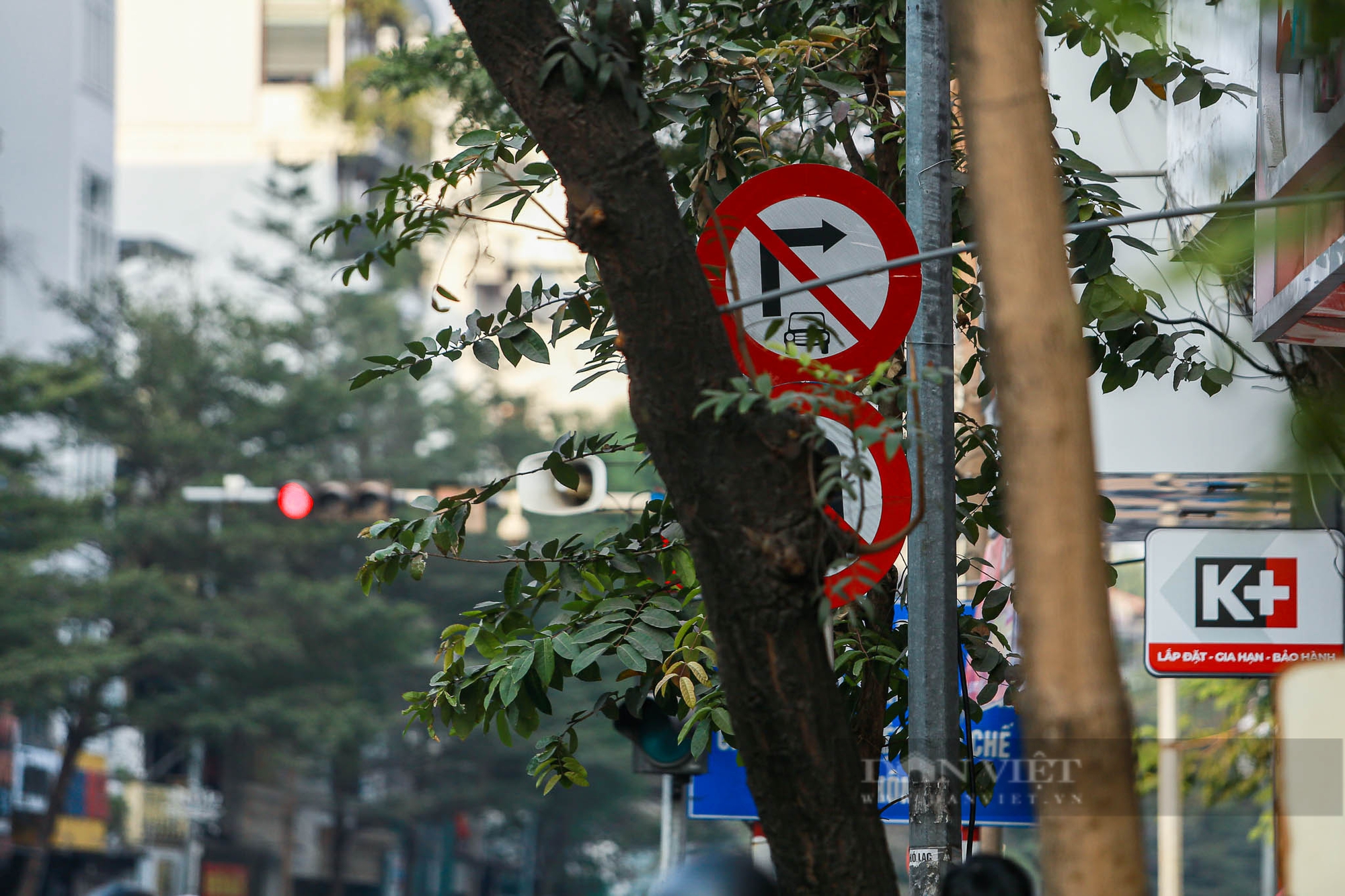 Nhiều biển báo, đèn giao thông ở Hà Nội bị che khuất, gây khó khăn cho người tham gia giao thông - Ảnh 8.