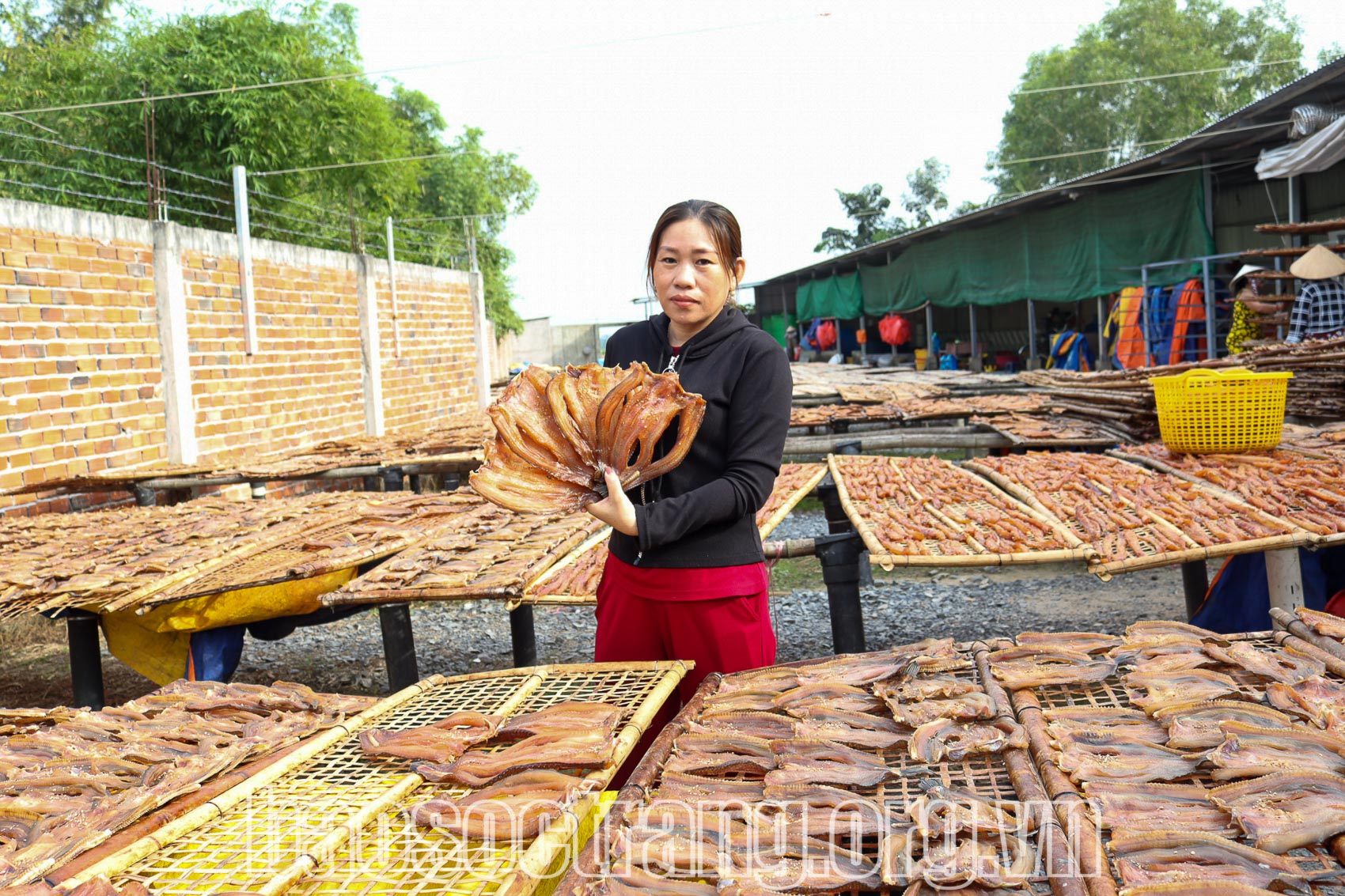 Một làng ở Sóc Trăng, cứ sắp Tết là khách gọi "cháy máy" đặt hàng liên tục khô cá, lạp xưởng - Ảnh 1.