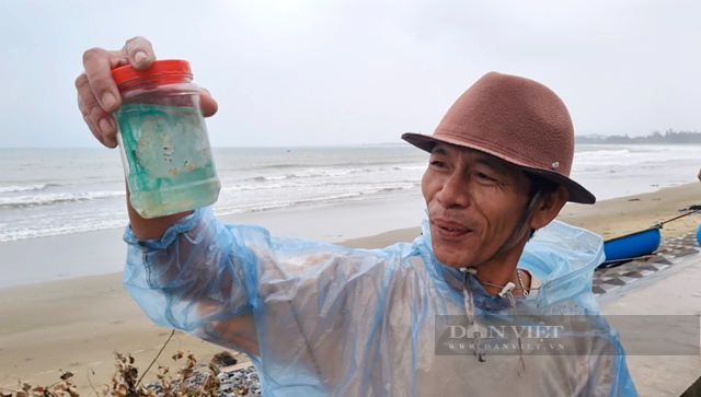 Bắt tôm hùm nhí, con vật bé tí, trong suốt như pha lên, dân biển Quảng Ngãi hốt bạc- Ảnh 4.