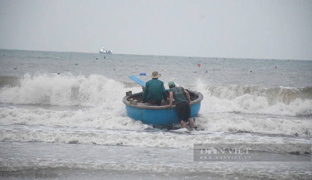 Bắt tôm hùm nhí, con vật bé tí, trong suốt như pha lên, dân biển Quảng Ngãi hốt bạc- Ảnh 3.