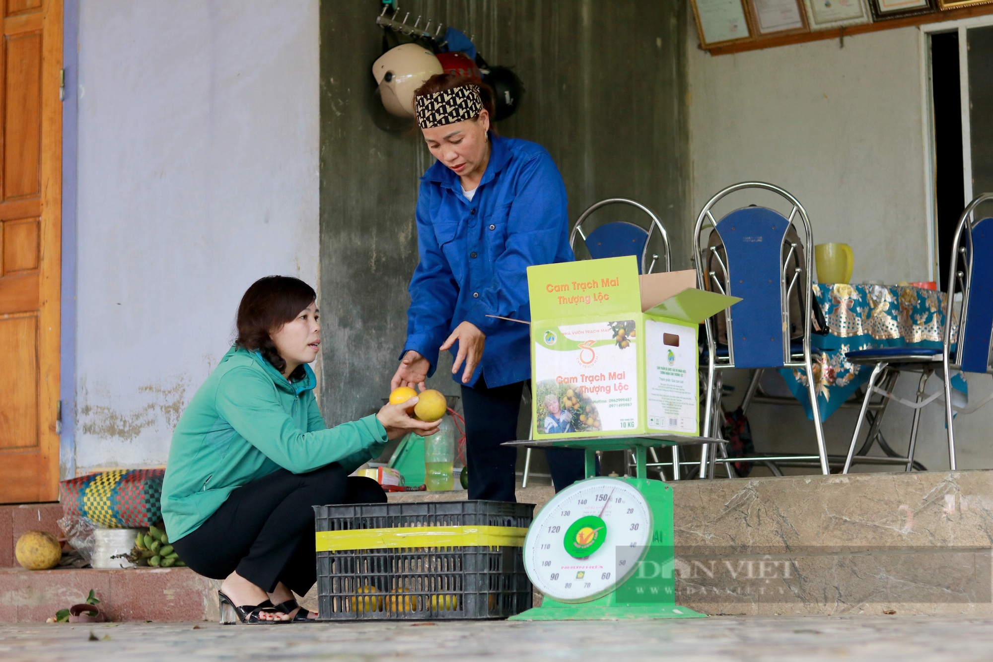 Nông dân tại “thủ phủ” cam giòn trúng mùa chưa từng có, ước tính thu 60 tỷ đồng vào dịp Tết Ất Tỵ- Ảnh 7.