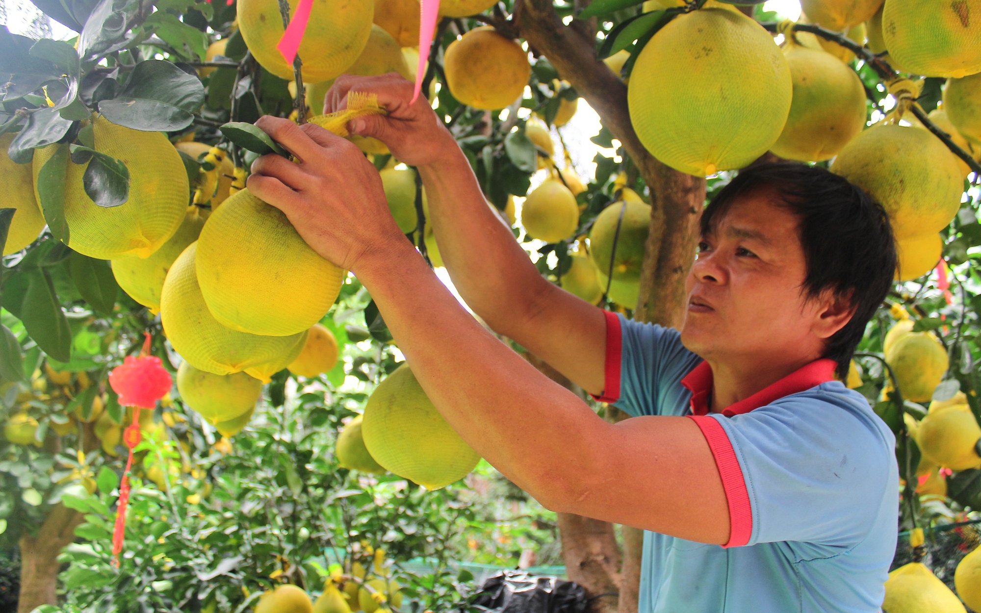 Lo lắng hàng kém chất lượng trước Tết, TP.HCM ra công văn khẩn - Ảnh 2.