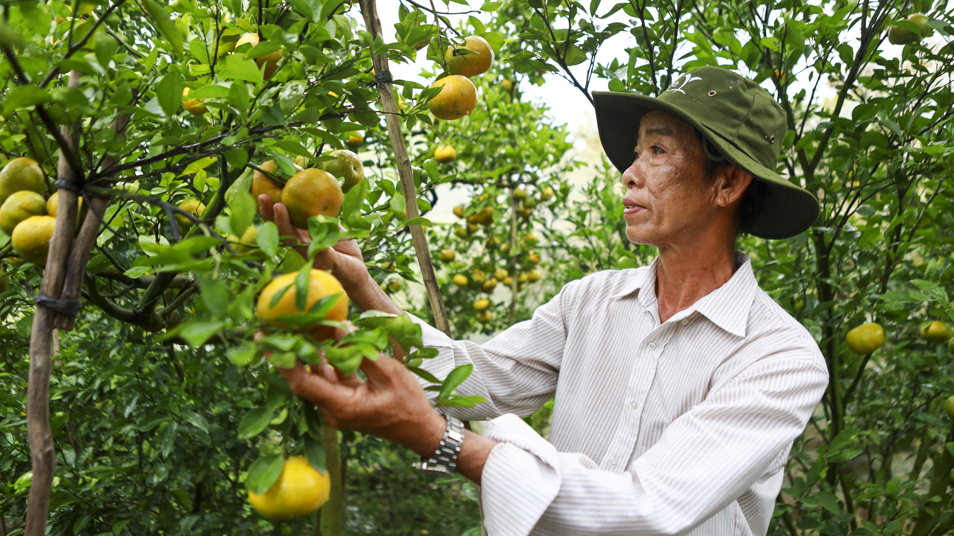 Bộ Nông nghiệp và PTNT đặt mục tiêu năm 2025: Thích ứng linh hoạt, khơi thông nguồn lực, tăng tốc bứt phá - Ảnh 2.