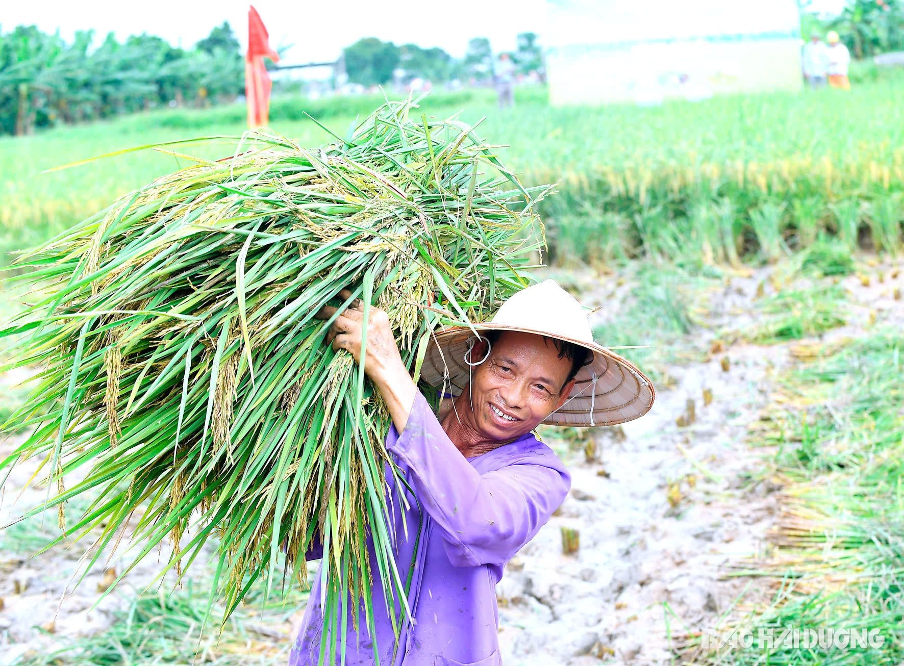 Tứ Kỳ biến tiềm năng nông nghiệp hữu cơ và du lịch sinh thái thành hiện thực - Ảnh 1.