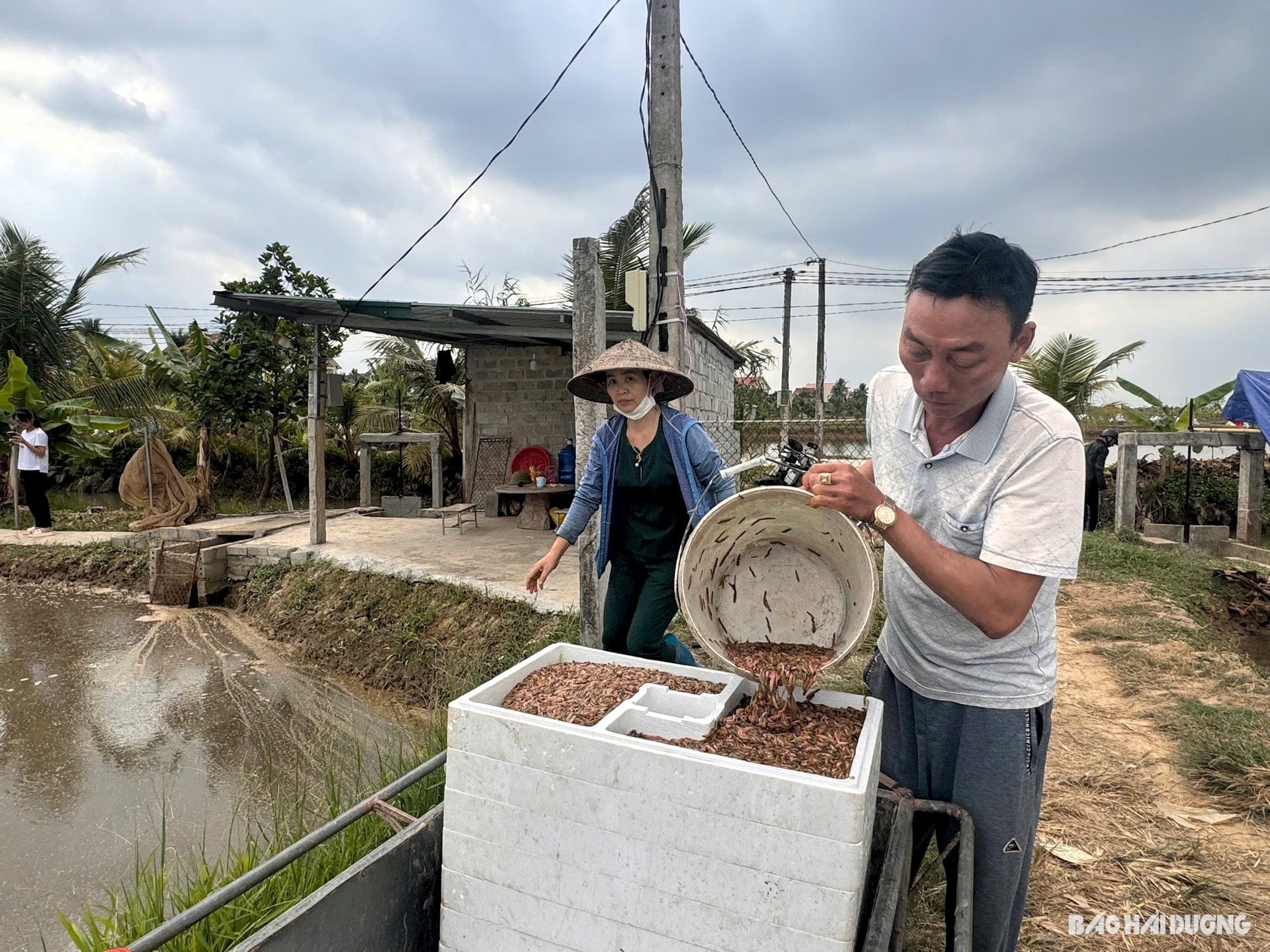 Tứ Kỳ biến tiềm năng nông nghiệp hữu cơ và du lịch sinh thái thành hiện thực - Ảnh 3.