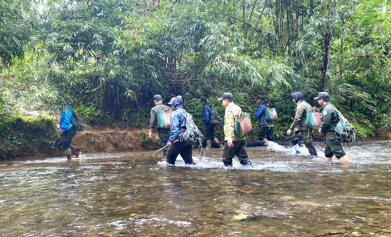 Ninh Bình: Tái thả 12 cá thể Tê tê Java có trong sách đỏ về tự nhiên - Ảnh 2.