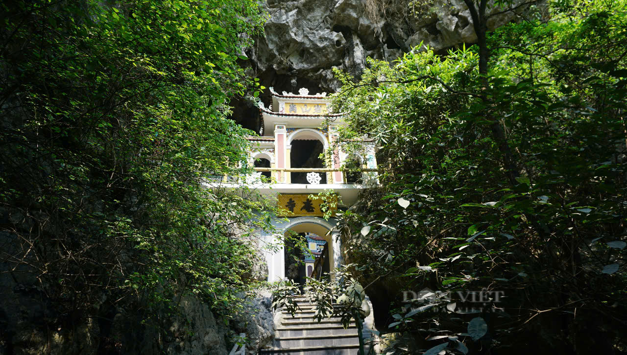 Động Địch Lộng ở Ninh Bình được mệnh danh "Nam thiên đệ tam động" với hệ thống thạch nhũ kỳ lạ  - Ảnh 1.