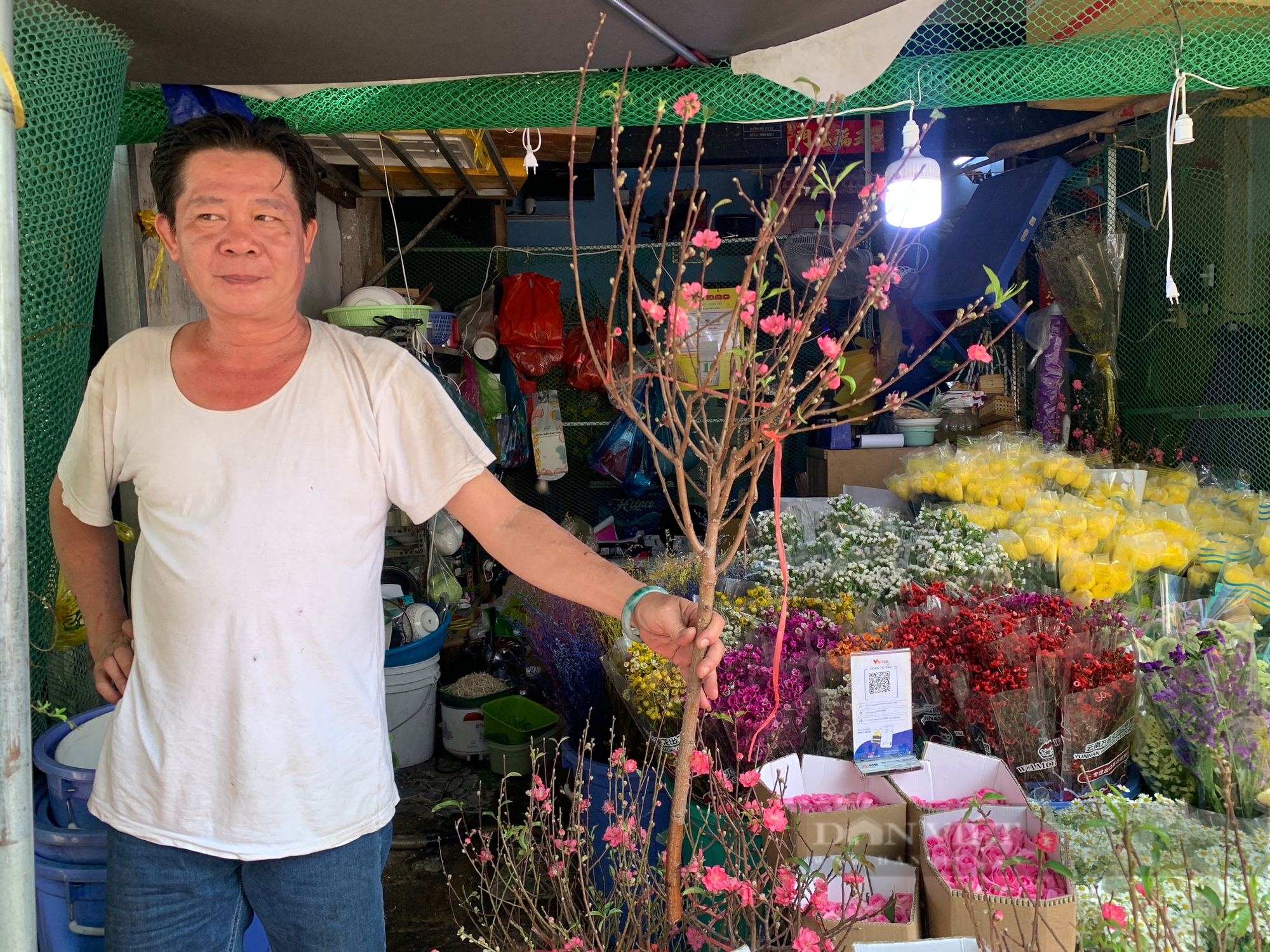 Người bán lý giải vì sao giá cành đào tại TP.HCM năm nay tăng vọt - Ảnh 2.