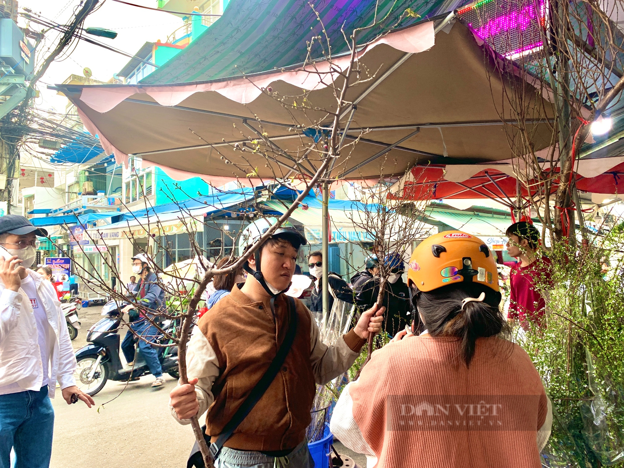 Người bán lý giải vì sao giá cành đào tại TP.HCM năm nay tăng vọt - Ảnh 1.