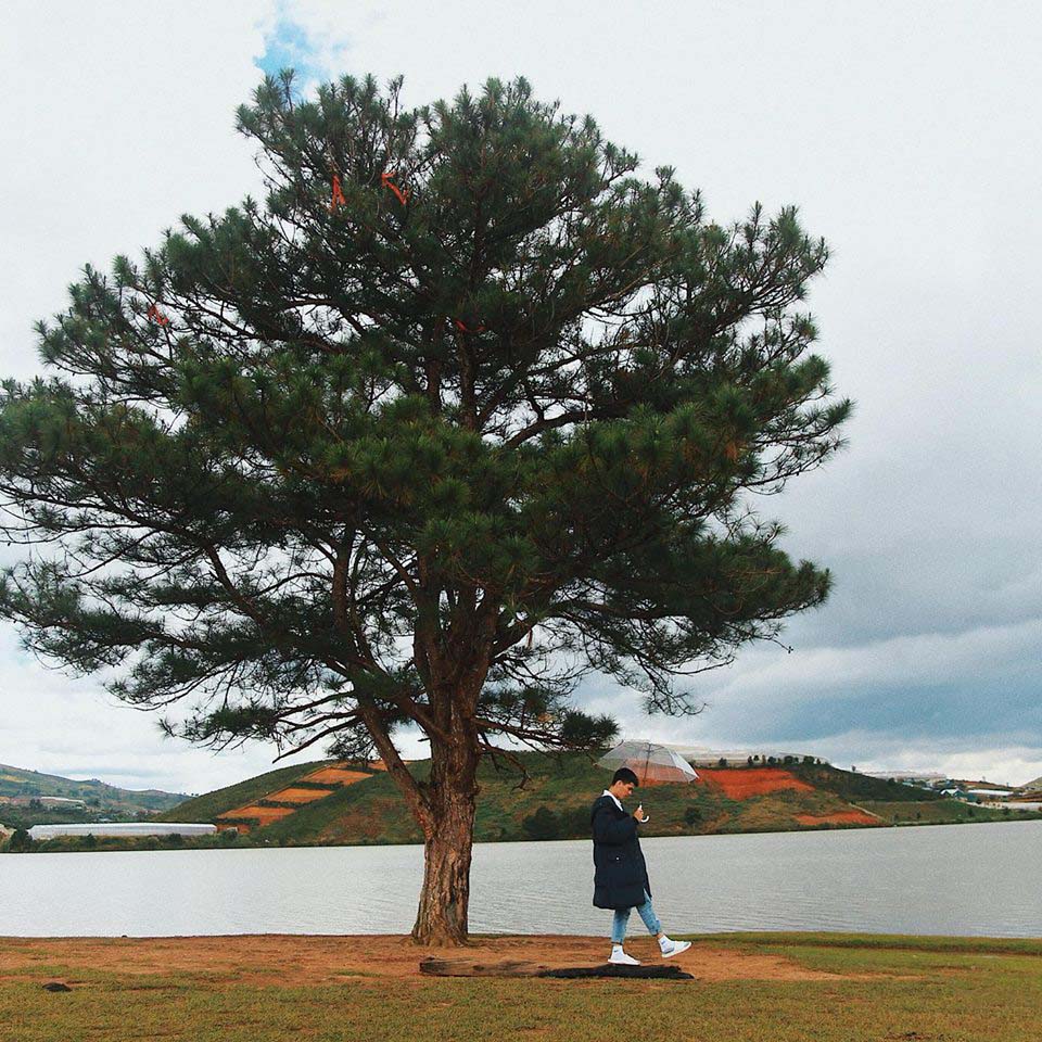 Lưu gấp những điểm du lịch Tết ở Đà Lạt không phải ai cũng biết, siêu đẹp, siêu thơ mộng - Ảnh 5.