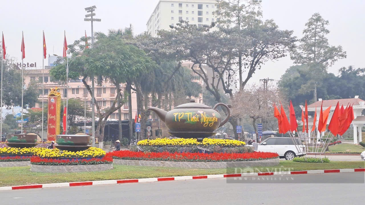 Giới trẻ Thái Nguyên háo hức chụp ảnh bên linh vật rắn đáng yêu, ngộ nghĩnh - Ảnh 7.