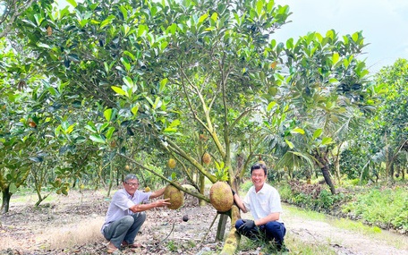 Làng này ở Nghệ An nướng cá trích, xưa dân nghèo hay ăn, nay nhà giàu đi qua cũng muốn nếm? - Ảnh 1.