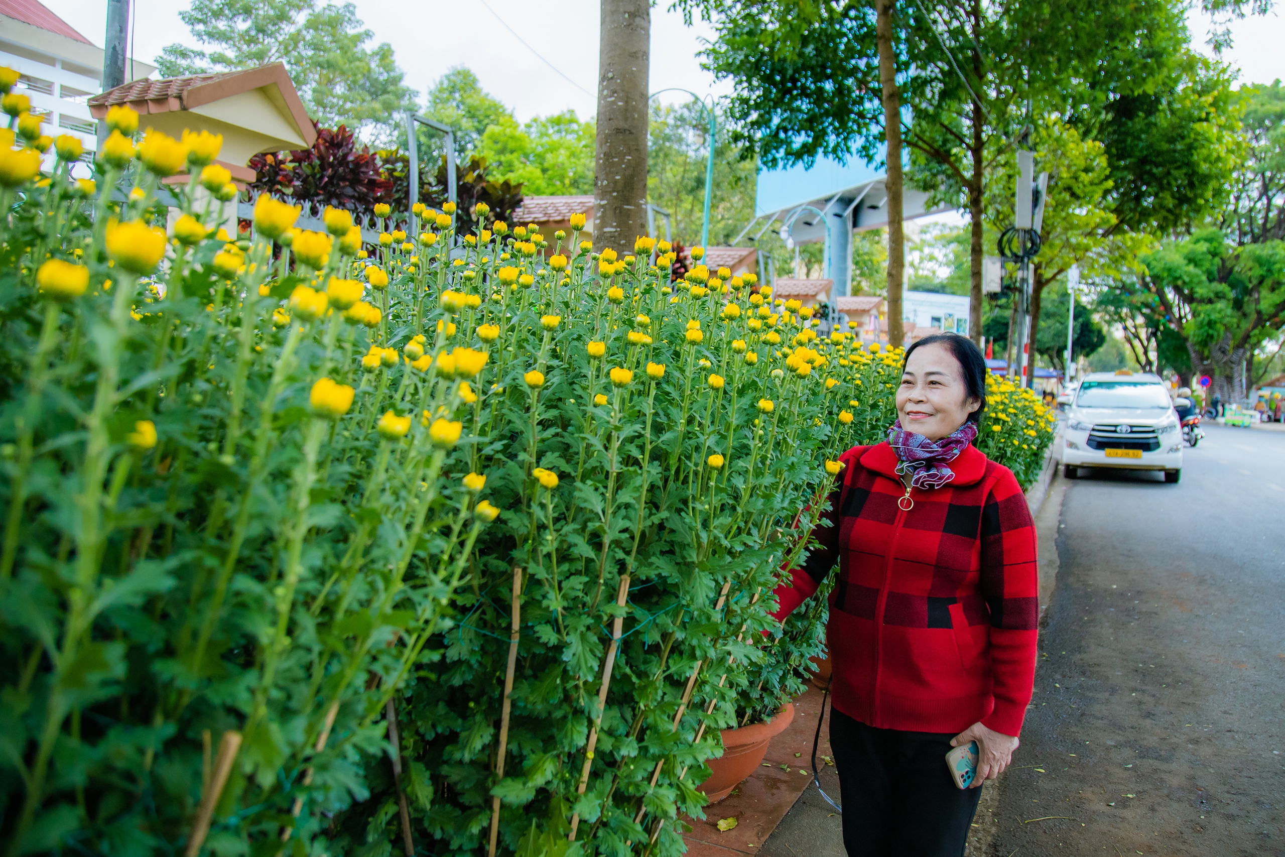 Tieu Thuong revealed that little people know about the traditional flower business in the Lunar New Year- Photo 6.