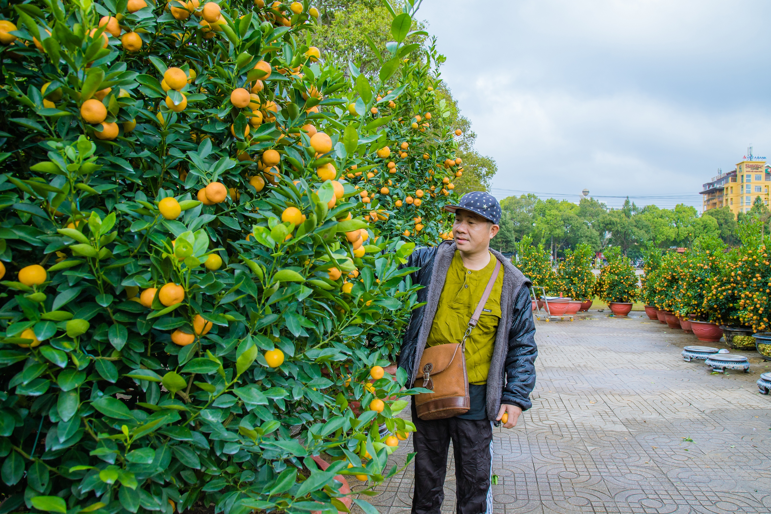 Tieu Thuong revealed that little people know about the traditional flower business in the Lunar New Year- Photo 4.