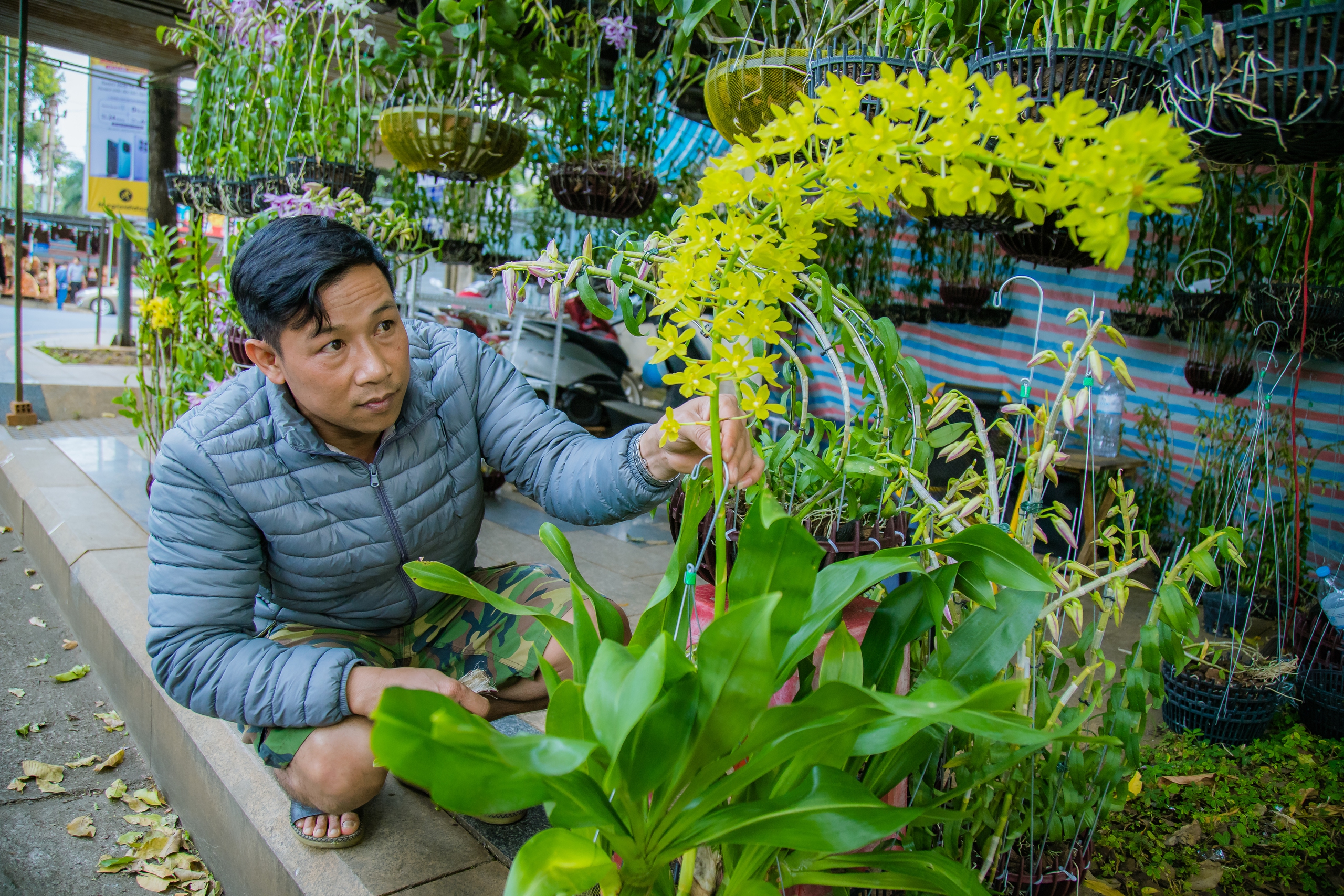 Tieu Thuong revealed that little people know about the traditional flower business in the Lunar New Year- Photo 7.