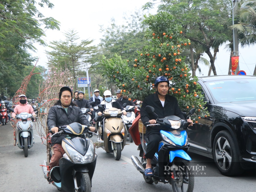 Chưa đến 29 Tết, nhiều tiểu thương đồng loạt 