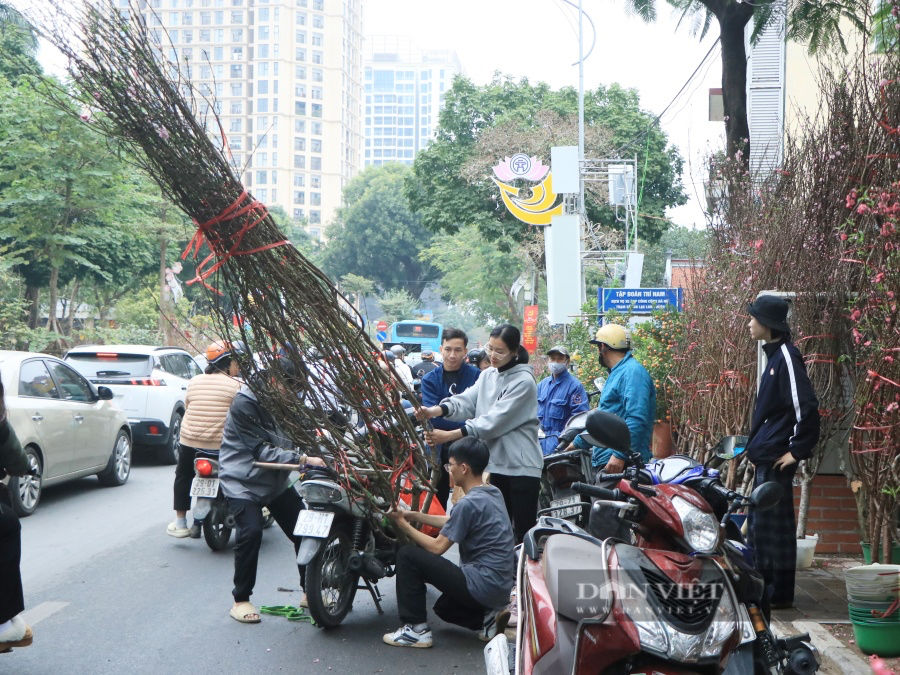 Chưa đến 29 Tết, nhiều tiểu thương đồng loạt 