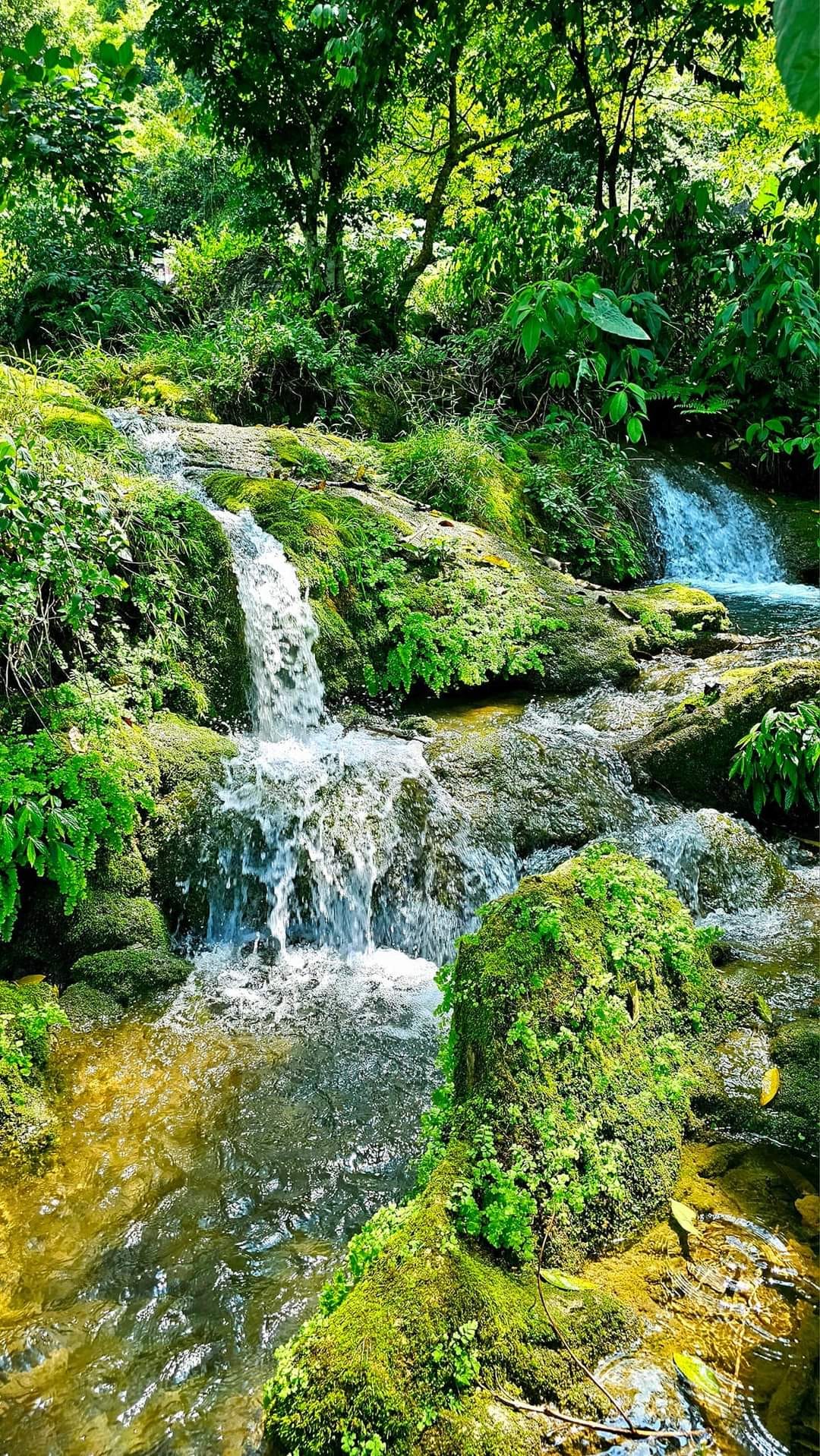 Khám phá địa điểm mới, “chốn bồng lai tiên cảnh” ở Hà Giang, du khách không nên bỏ lỡ trong dịp Tết Ất Tỵ - Ảnh 6.