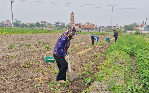Thái Bình hợp nhất 2 ban Đảng, kết thúc hoạt động Ban Bảo vệ chăm sóc sức khỏe cán bộ- Ảnh 3.