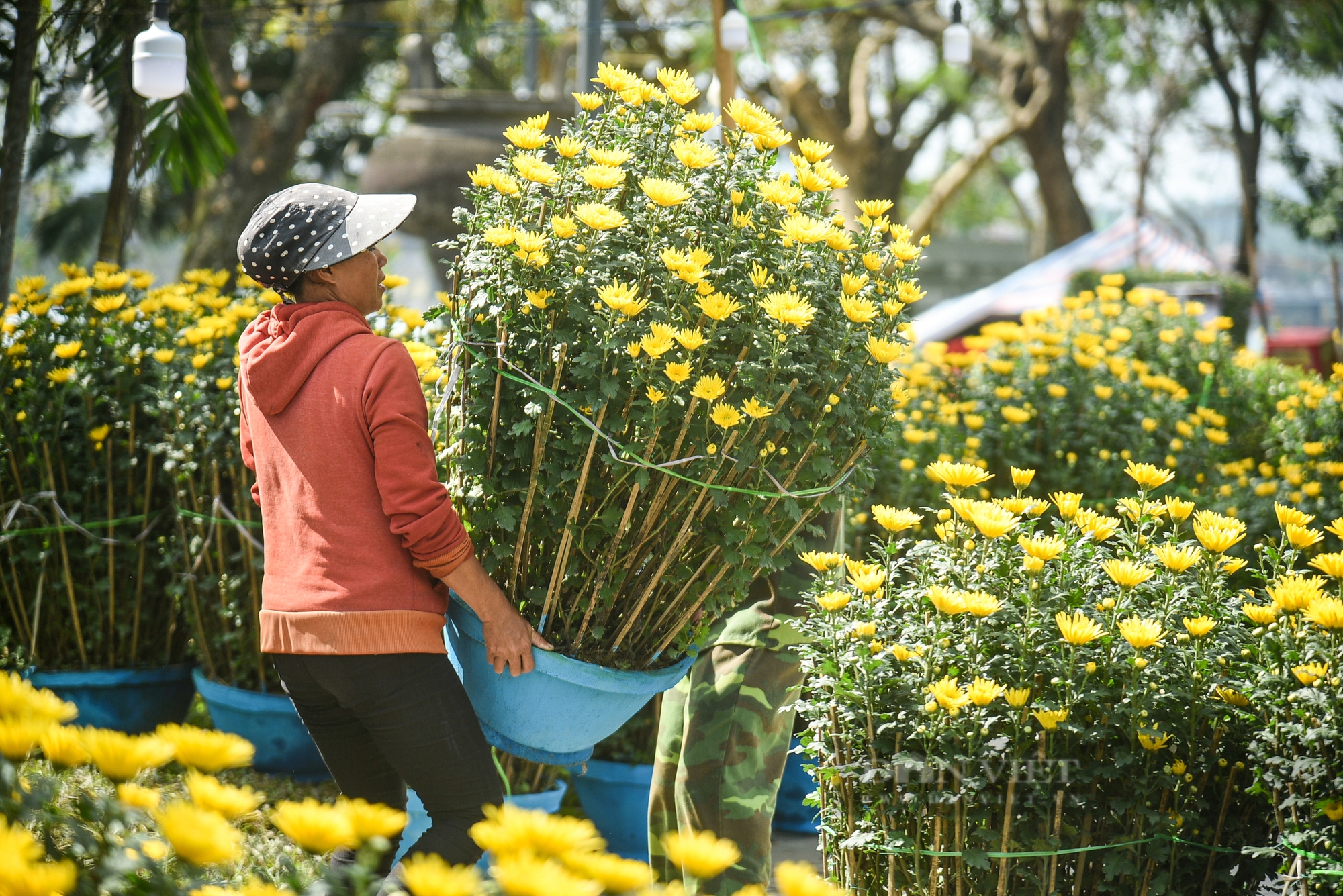 Huế: Kiếm bội tiền từ nghề 