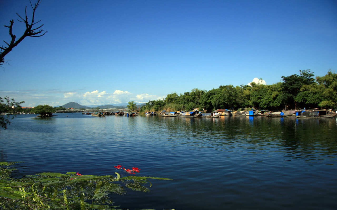 Nuôi chồn hương thành công ở Phú Yên, con đặc sản, động vật hoang dã, hễ bán 1 con đực giá 50 triệu - Ảnh 4.