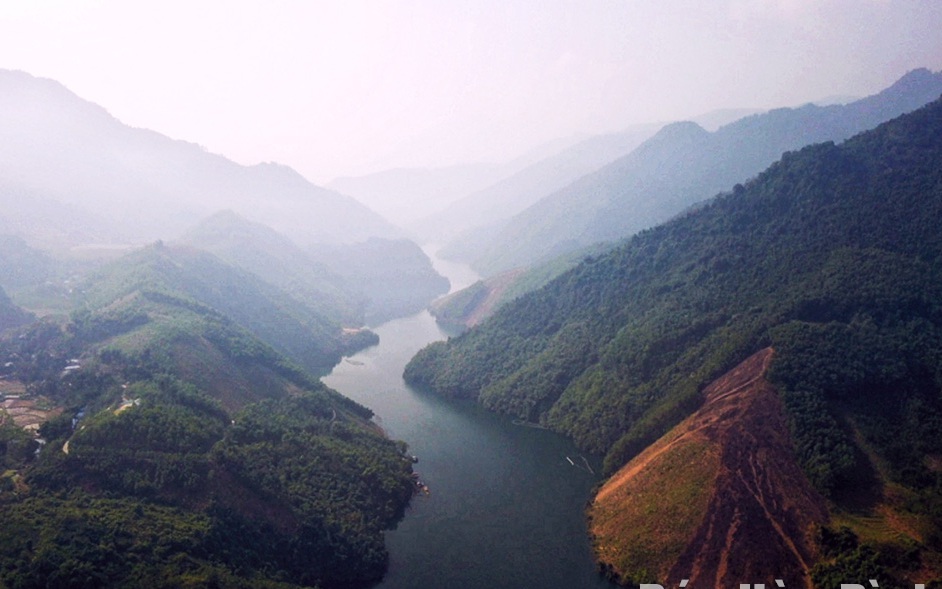 Tôm sú to bự, tôm thẻ chân trắng đang tăng giá tốt nhất ở Long An, nhà nào xúc lên bán là trúng lớn - Ảnh 3.