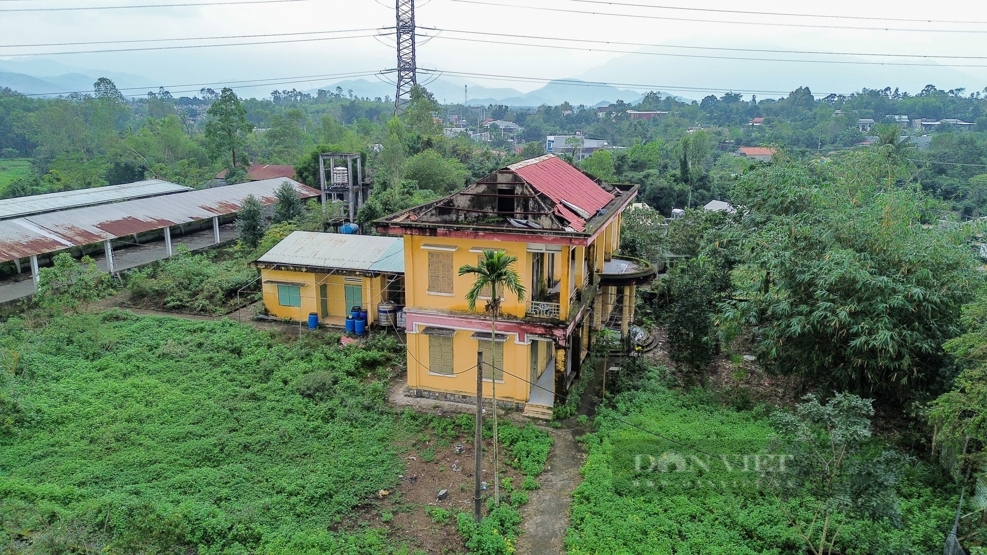 Cận cảnh trại chăn nuôi bỏ hoang gần 10 năm ở Đà Nẵng- Ảnh 6.