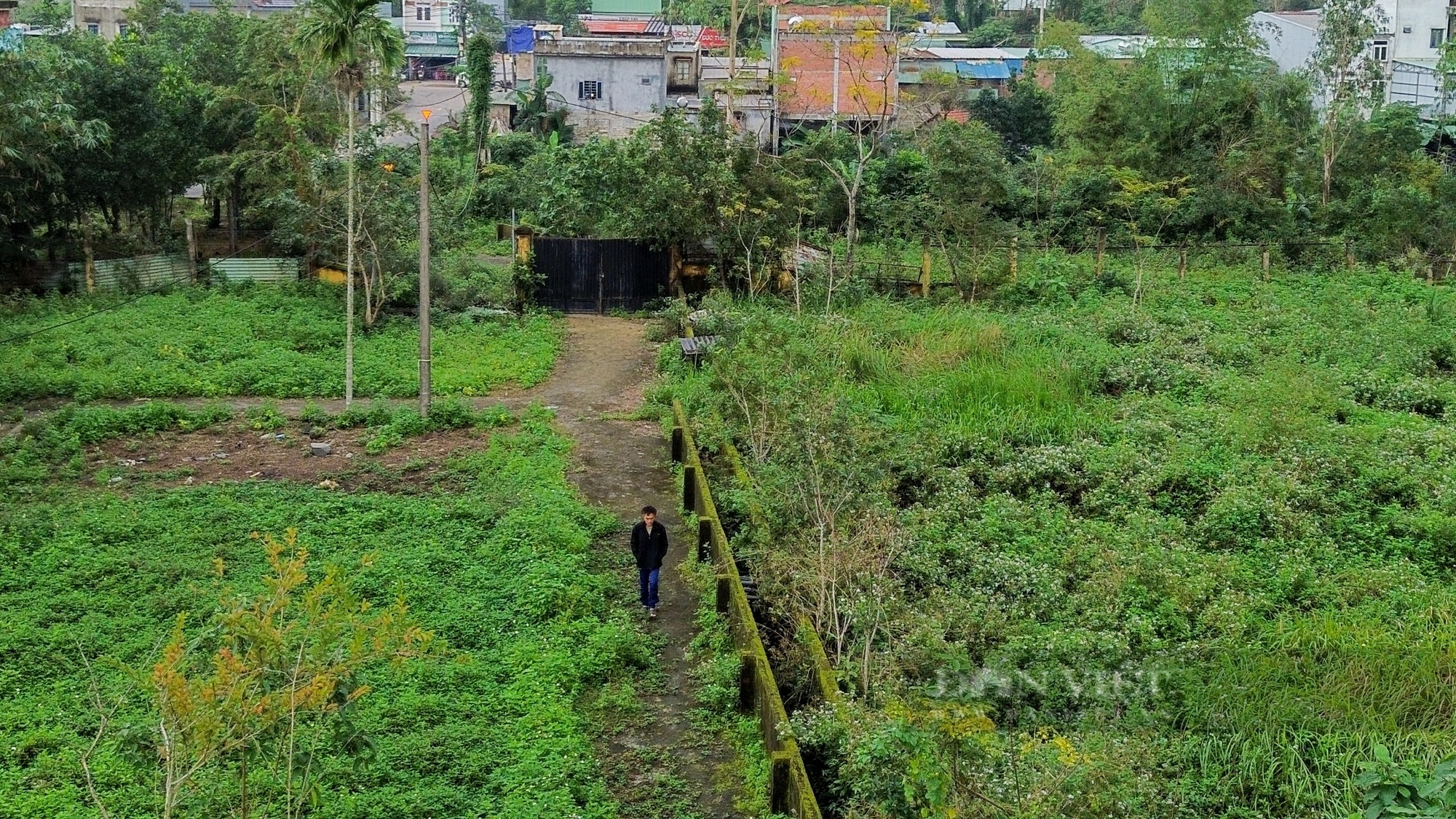 Cận cảnh trại chăn nuôi bỏ hoang gần 10 năm ở Đà Nẵng- Ảnh 4.