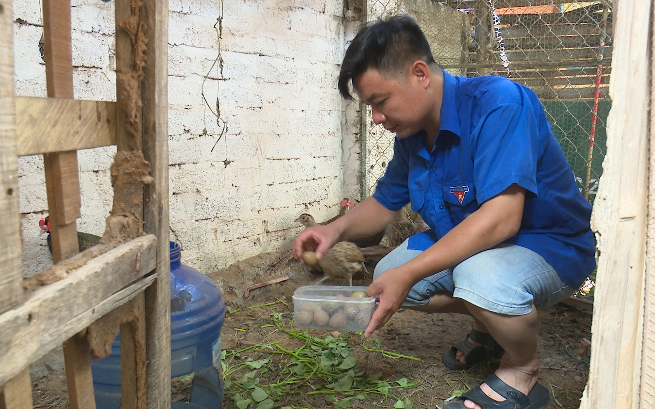 Đánh đu trong khu rừng Mã Đà ở Đồng Nai, còn la liệt động vật hoang dã, rắn lục đuôi đỏ nằm im - Ảnh 1.