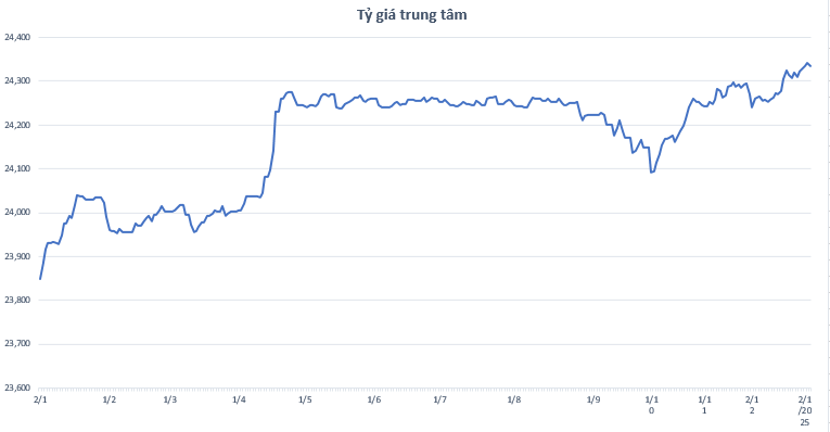 Giá USD hôm nay 5/1 - Ảnh 2.