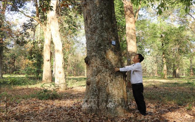 Hưởng lương 700 triệu/năm nhờ liều trồng hoa lan, loài hoa quý tộc ở Bình Dương, nở cản chả kịp - Ảnh 1.