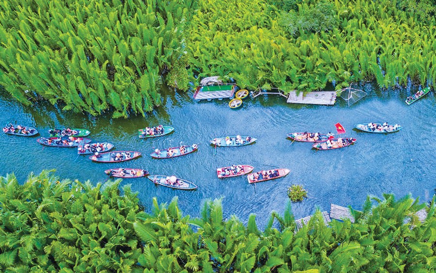 Về An Giang vô “hội chợ rắn” độc nhất Việt Nam, rắn hổ đất đến rắn lục đầu vồ, có loài rắn đáng gờm - Ảnh 4.