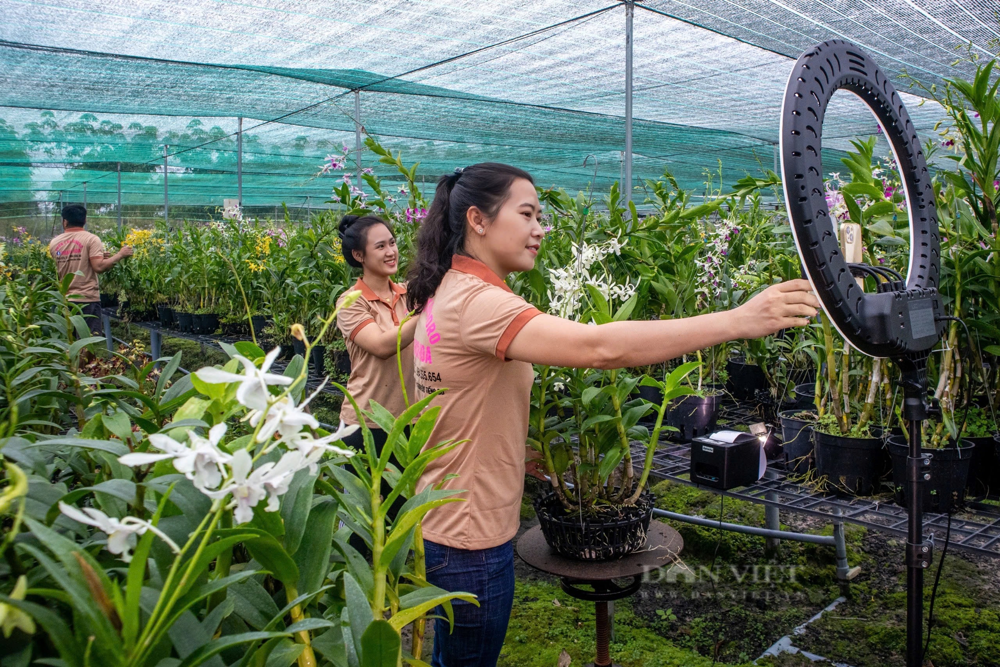 Ngắm vườn "hoa quý tộc" ở Bình Dương có loại giá nghìn đô vẫn tấp nập khách đặt hàng chơi Tết - Ảnh 9.