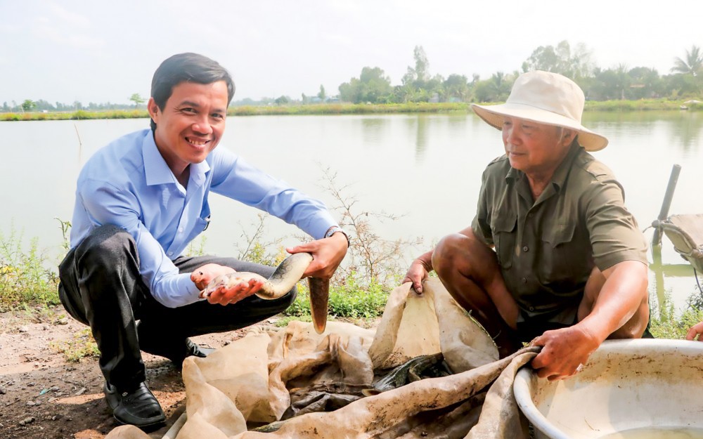 Nông dân một xã ở Kiên Giang trồng mít ruột đỏ kiểu gì mà trái to bự, bán 1 quả có ngày 1 triệu? - Ảnh 3.