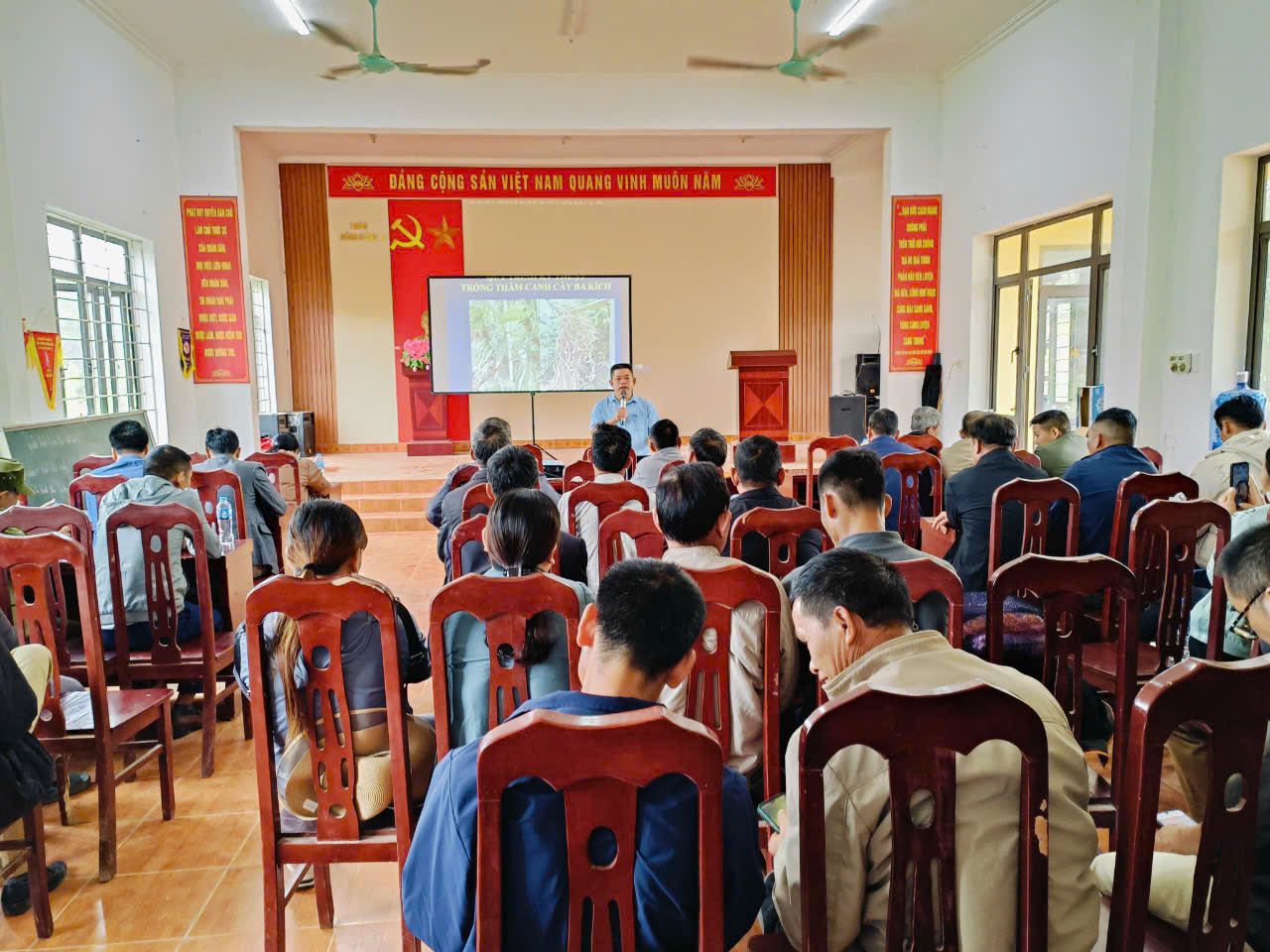 Hội Nông dân huyện Ba Chẽ hỗ trợ hội viên Cầu nối giúp nông dân phát triển kinh tế ở Ba Chẽ - Ảnh 2.