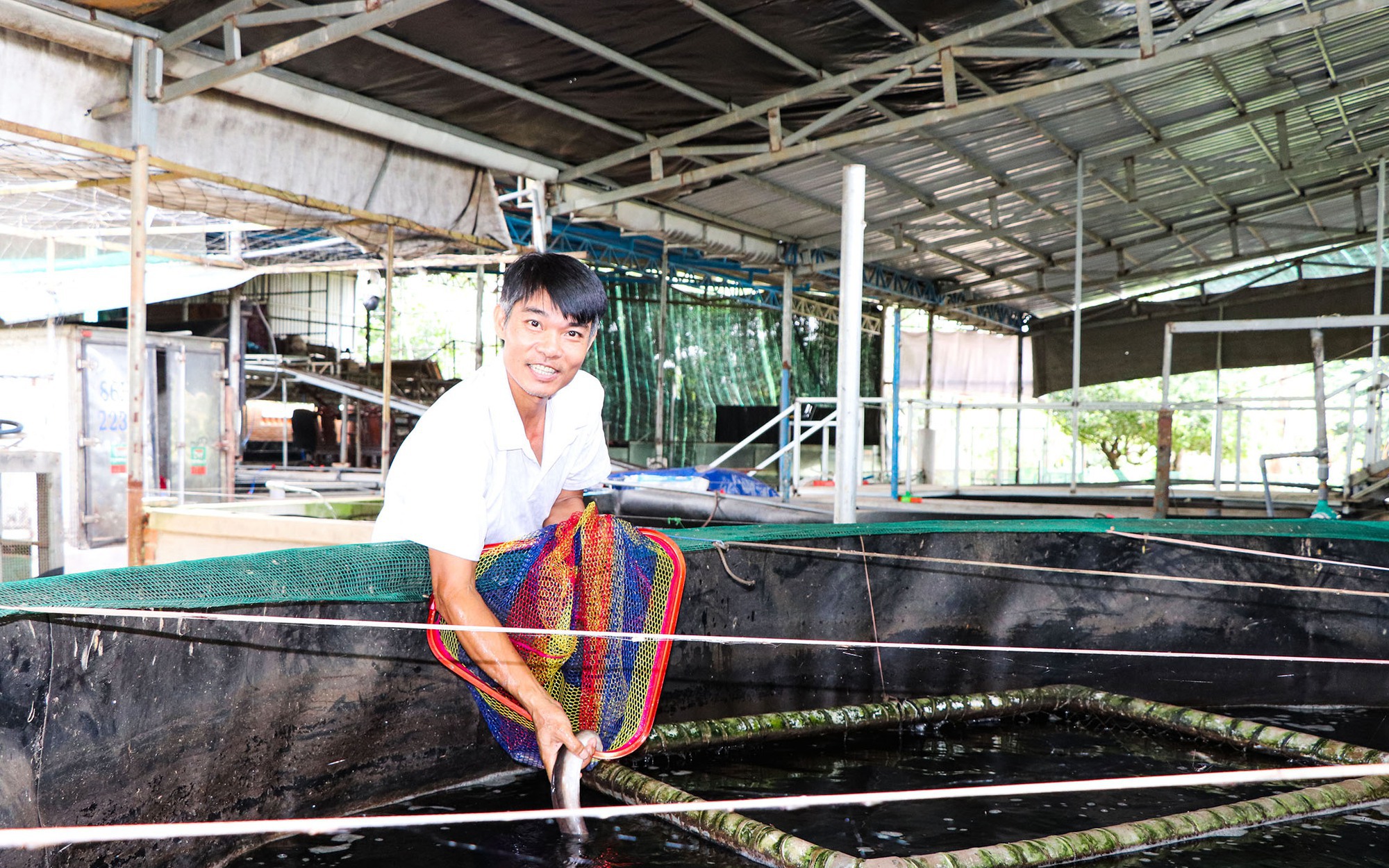 Ngành Thú y tạo "lá chắn" bảo vệ 31 triệu con lợn, 575 triệu con gia cầm, 2 triệu con trâu, bò - Ảnh 4.