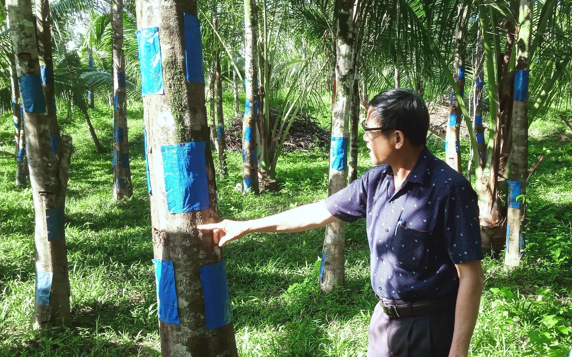 Đường hoa nông thôn mới trồng hoa mẫu đơn đẹp như phim, tha hồ chụp hình ở một xã Bình Phước - Ảnh 5.