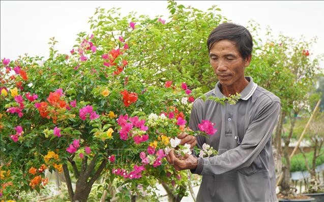 Ba con gấu ngựa, động vật hoang dã cứ hay nô đùa trong một khu rừng rậm Thanh Hóa - Ảnh 5.