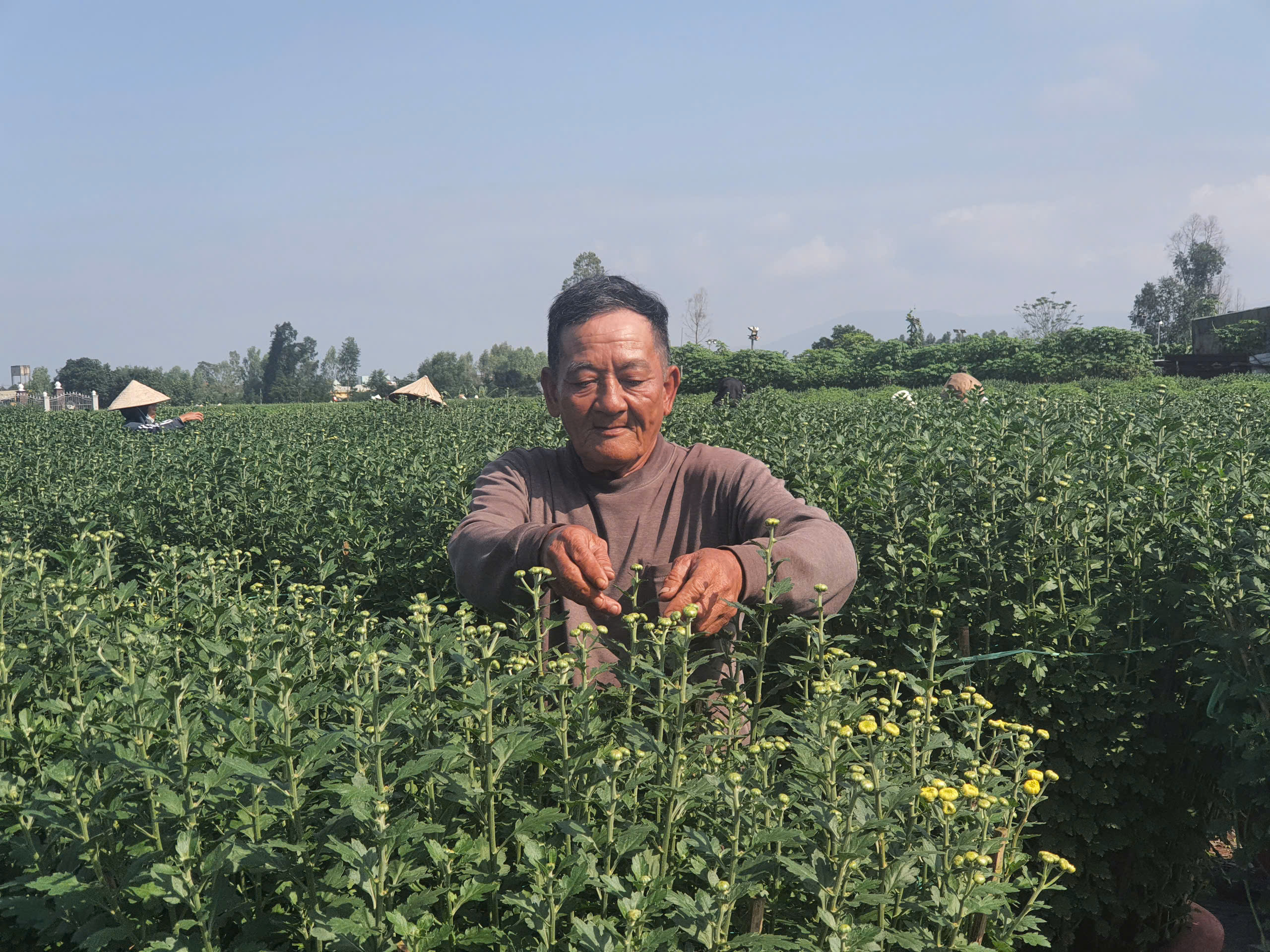 Ngân hàng CSXH thành phố Đà Nẵng mang mùa Xuân đến sớm với người dân nghèo- Ảnh 3.