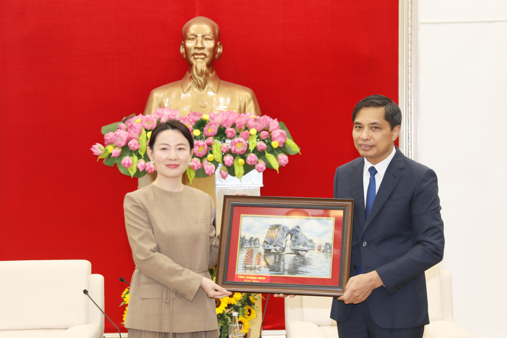 Tập đoàn xây dựng hàng đầu Trung Quốc muốn đầu tư loạt dự án ở Quảng Ninh- Ảnh 1.