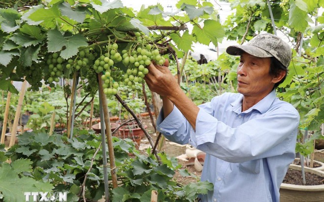 Đây là làng cổ độc nhất đất Hưng Yên, chùa Nôm có tam quan lớn nhất Việt Nam, vô số báu vật - Ảnh 11.