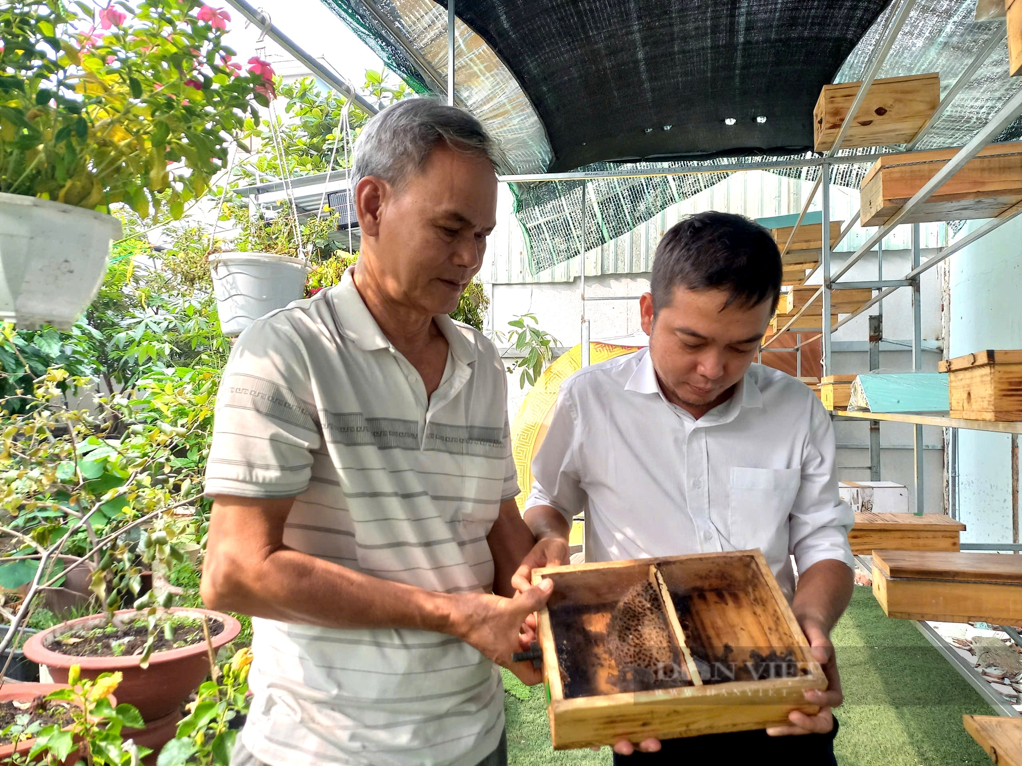 Bà con Sài thành đang nuôi con vật mới, giá trị cao mà có nằm mơ nhiều người cũng không nghĩ đến - Ảnh 6.