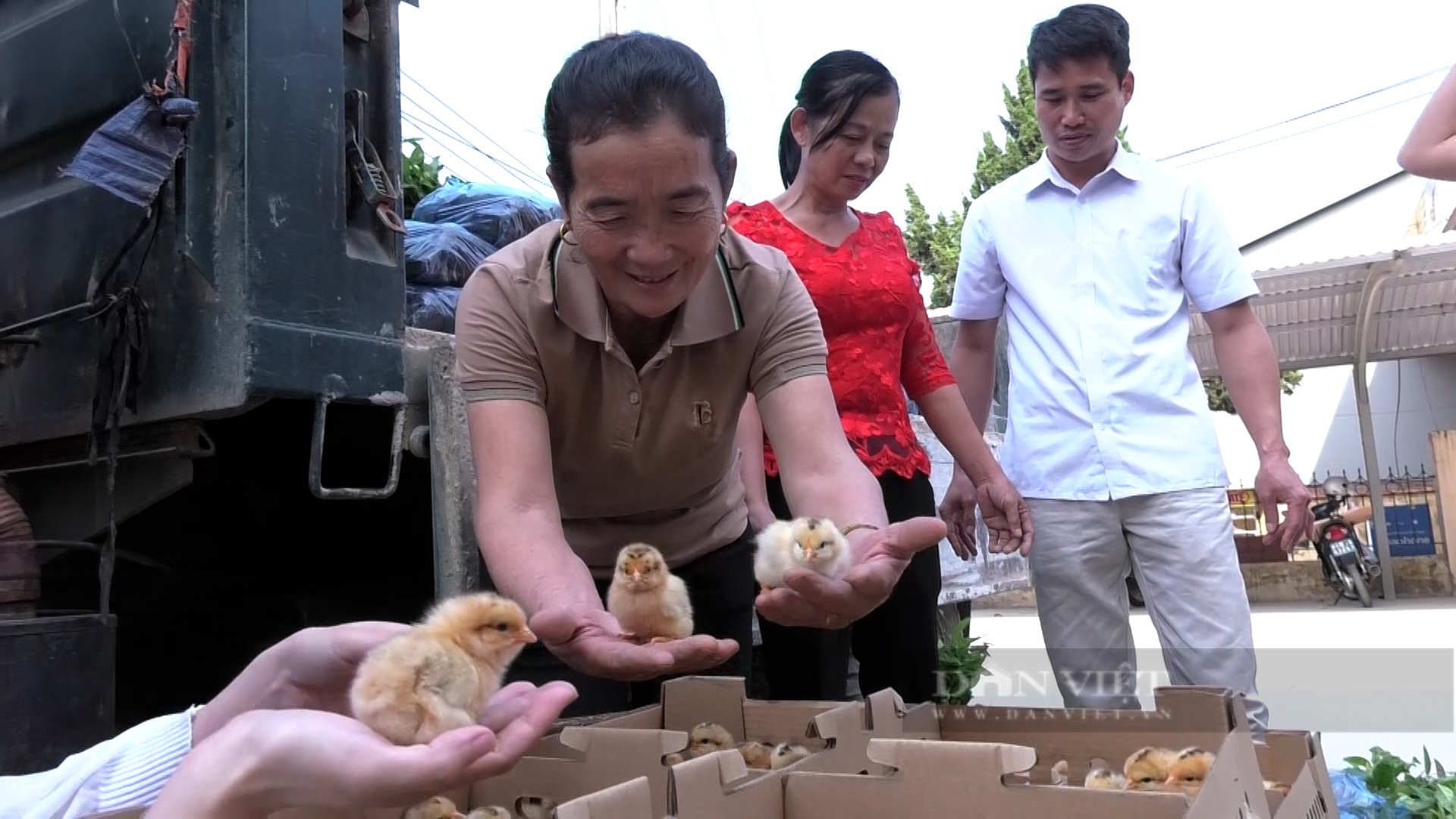 Chương trình FFF II hỗ trợ nông dân Yên Bái như thế nào - Ảnh 3.