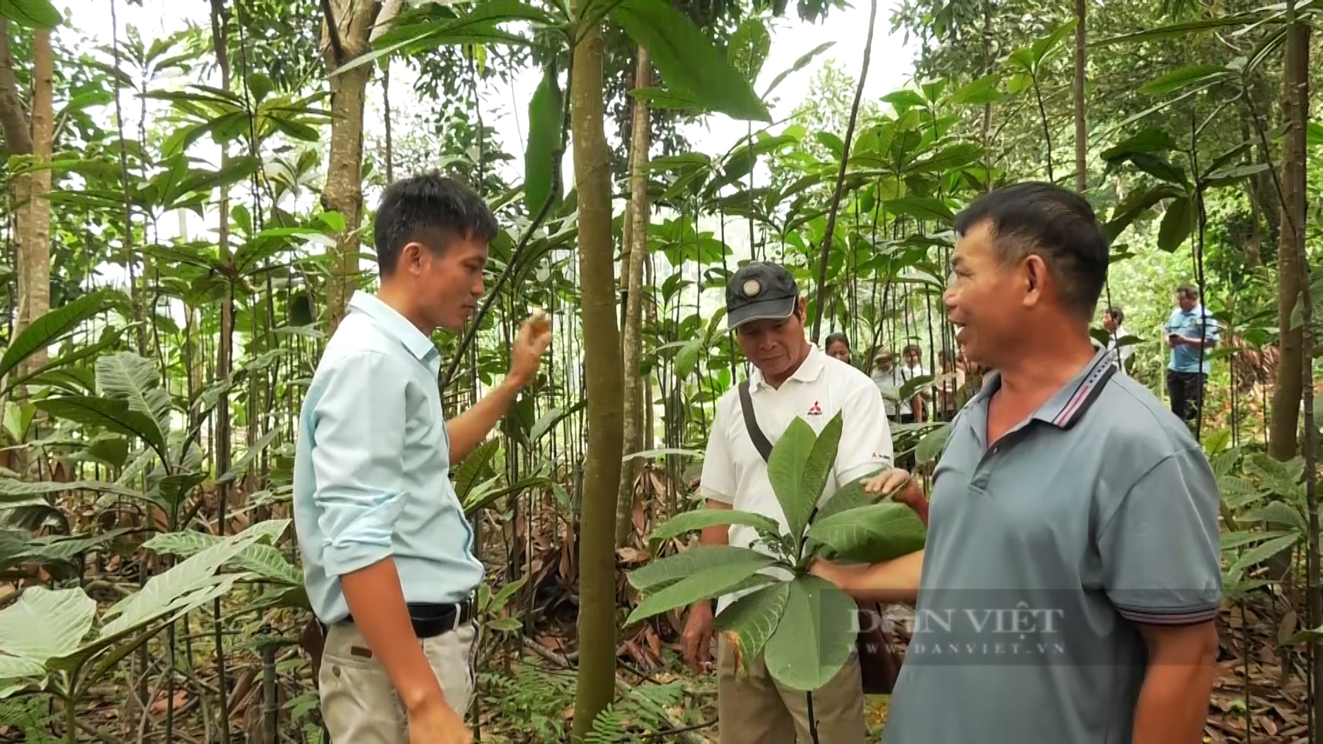 Chương trình FFF II hỗ trợ nông dân Yên Bái như thế nào - Ảnh 5.