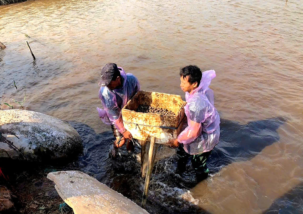 Thả sò huyết, tôm sú ở chung ao, nông dân Ninh Bình nhận thấy hiệu quả kinh tế rõ rệt - Ảnh 6.