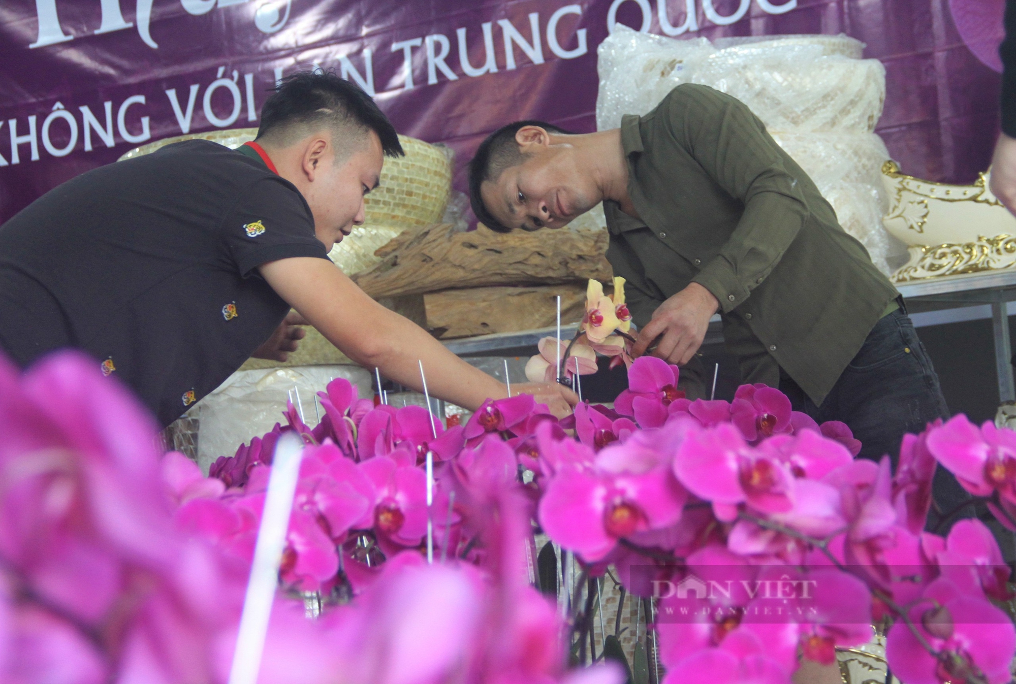 Những anh thợ làm cái nghề chỉ vân vê loài hoa "quý tộc" mà nhận lương hơn 100 triệu trong tháng Tết - Ảnh 2.